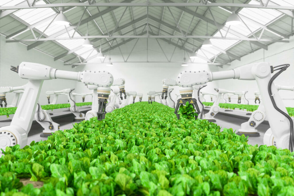 Smart Farming Technology With Robotic Arms Harvesting Vegetables In Automated Greenhouse